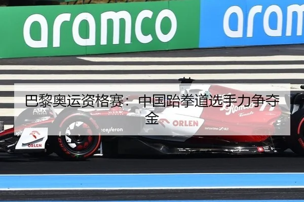 巴黎奥运资格赛：中国跆拳道选手力争夺金